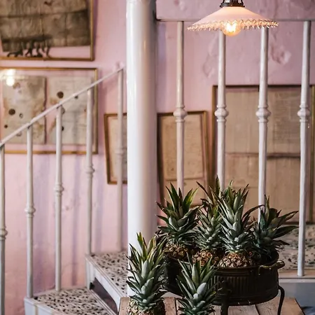 House No. 14 By Too-good Apartment